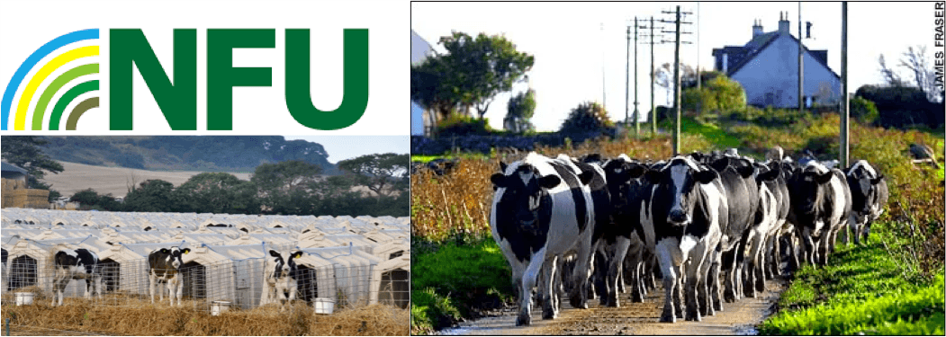 Confidence among British farmers remains low due to pandemic shocks