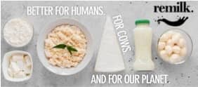 Israel’s Remilk serves up dairy products made without Cows and animals