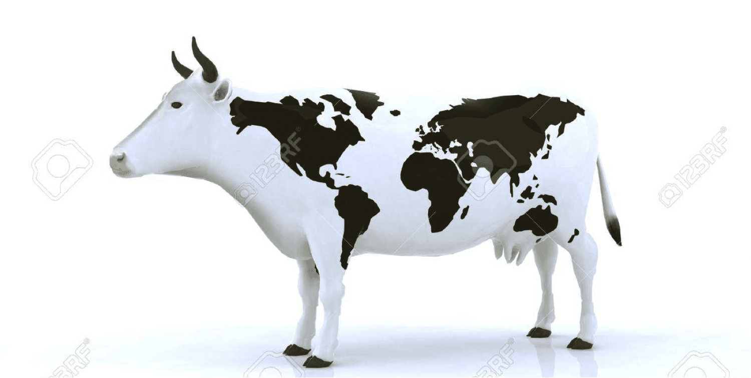 Global dairy demand will improve in 2021 and 2022