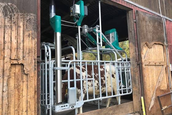 Eurotier Innovation Awards: CowToilet awarded gold