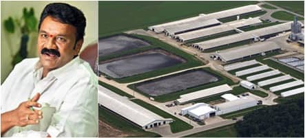 Mega Dairy farm worth Rs 445 Crores to be set up in Telangana state