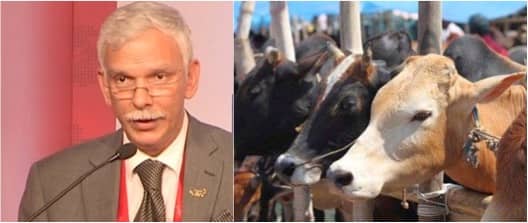 Govt to launch Rs 5000 Crores dairy entrepreneurship scheme