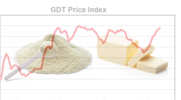 Milk prices defy seasonal trend as supply pressures build