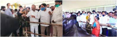 Mini dairy scheme gets underway for Dalits in Warangal, Telangana