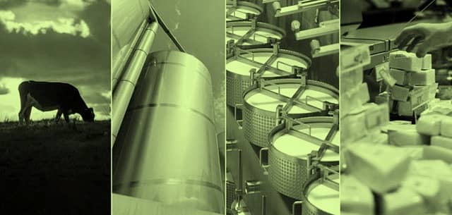 Dairy Demand will be in the driver’s seat in 2021: Rabo Bank
