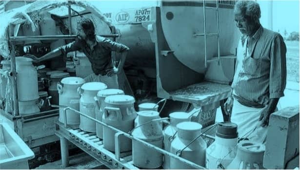 Vijaya dairy increases Farmers milk prices in Andhra Pradesh