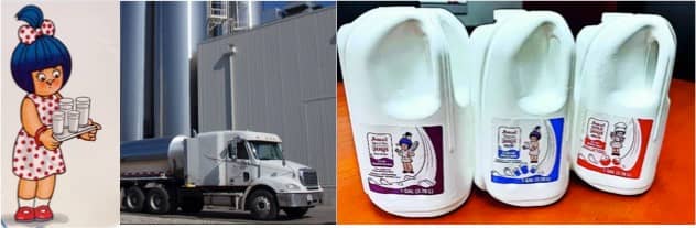 Amul Launches Fresh Milk in US Following Modi's Global Ambition