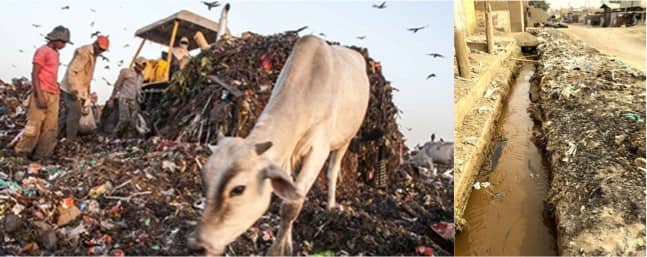 Dairy farms and gaushalas comes under stricter vigil of pollution authorities in Delhi