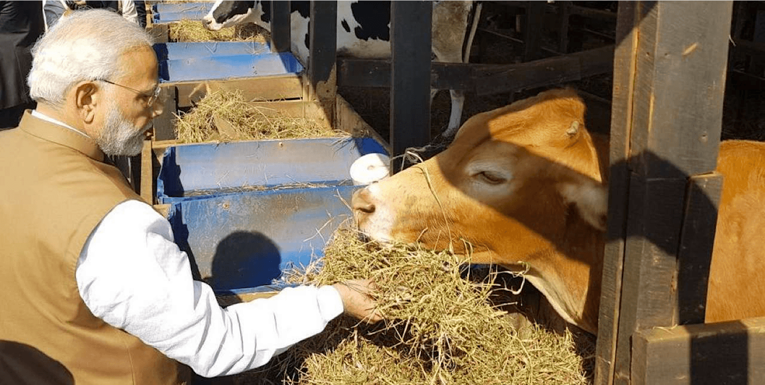 PM Modi will launch E-Gopala app for dairy breed improvement on Sep 10
