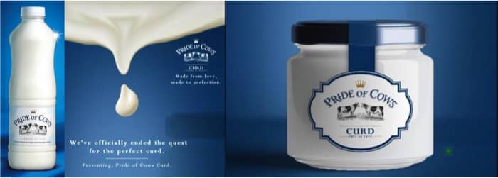 Launch of curd moved stocks price of Parag milk foods by 7%
