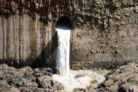 Dairy farmers in Udaipur village near Guwahati are in bad shape due to Corona