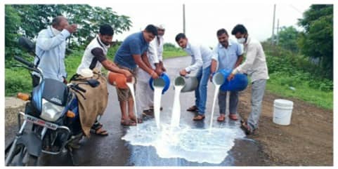 DAIRY NEWS Is price subsidy the only option to support dairy