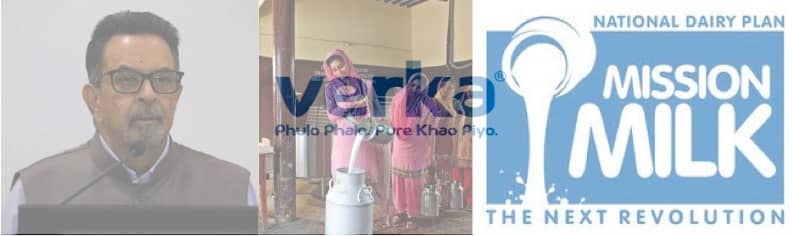 Direct procurement of milk from villages pays dividend