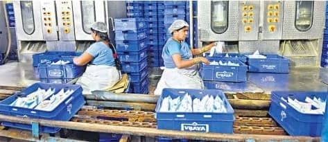 Vijaya dairy is regaining its past glory in Telangana