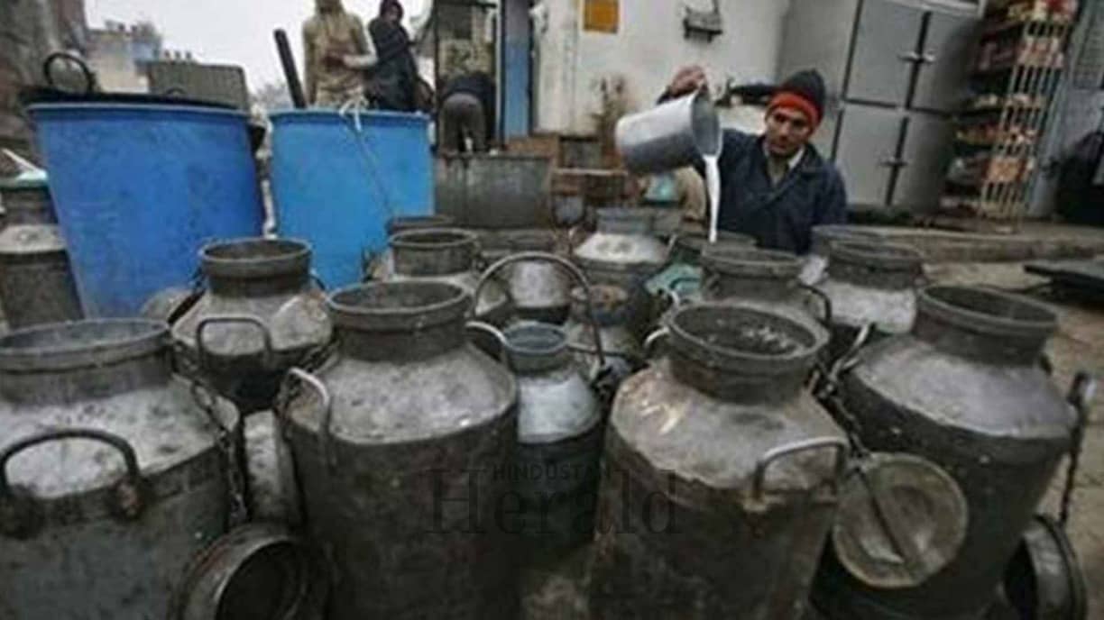 Indian Dairy Sector Faces Crisis of Trust Amid Trade, Feed & Quality Fears