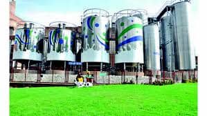 Amul Dairy Hikes Milk Procurement Rates