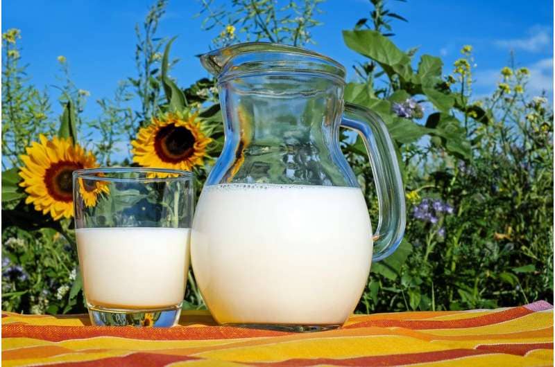 Study Finds Dairy Trans Fats Not Linked to Heart Disease