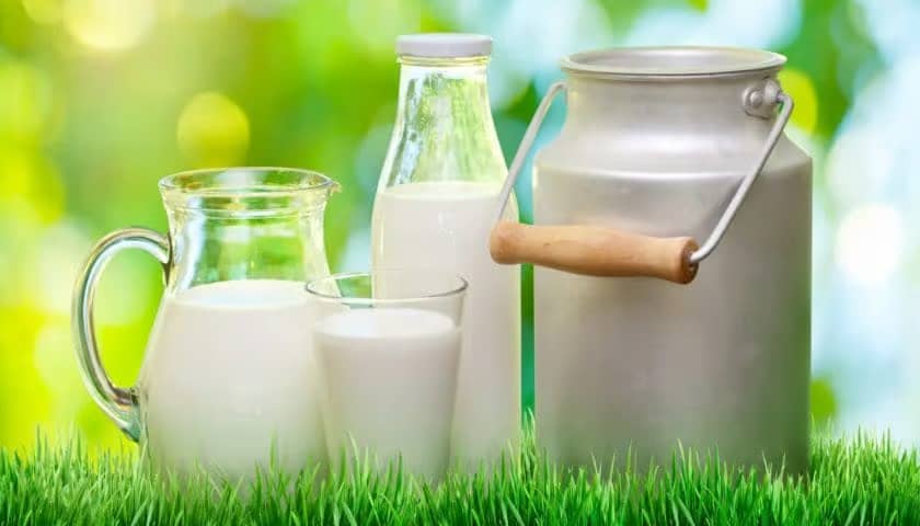 BEMUL Posts US$1.3M Profit, Plans Mega Dairy Expansion