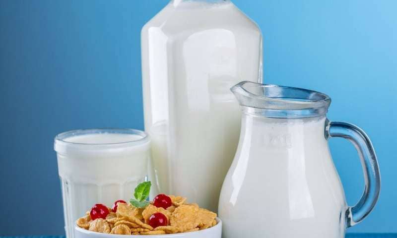 Study Finds Full-Fat Dairy Supports Healthy Body Composition
