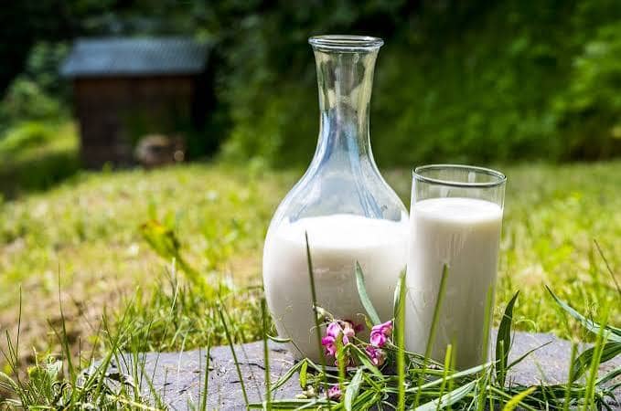 U.S. Dairy Exports Outpace Whole Milk Demand