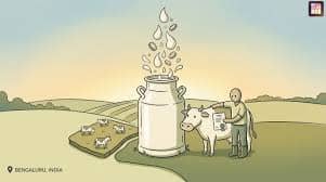 Dodla Dairy Q1 Revenue Rises, Backs Sid’s Farm