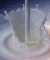 Uttarakhand Bans Substandard Dairy Products