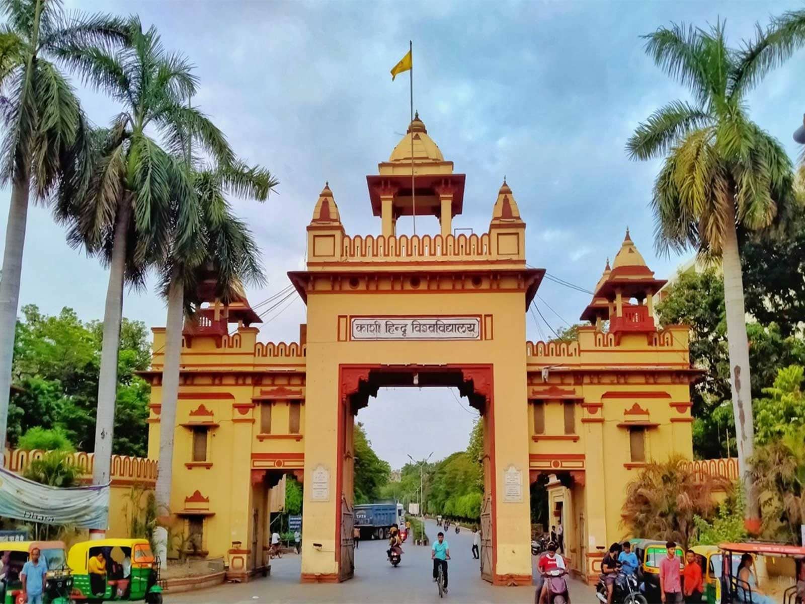 BHU Team Gets Patent for Milk Protein-Aloe Vera Antacid