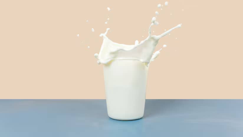 Alternative Proteins Face Investor Reset as Fermentation Gains