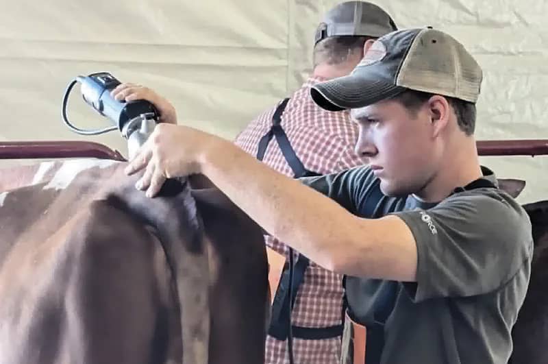 World Dairy Expo Opens New Doors for Dairy Careers