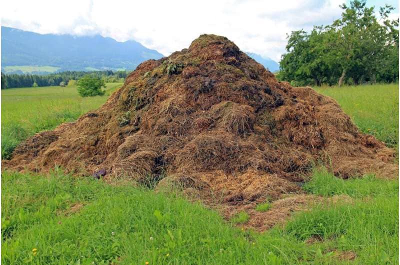 Scientists Turn Salty Whey into Bioethanol