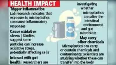 Microplastics Detected in Packaged and Raw Cow Milk
