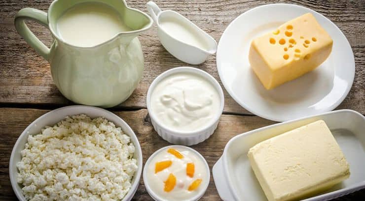 Global Dairy Demand Holds Firm as Milk Output Rises