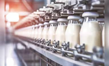 Milk Prices May Stay High Despite 2026 Flush Season in India