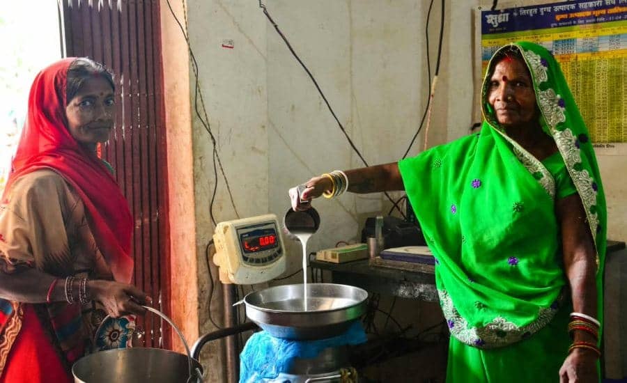 Kaushiki Women Dairy Enterprise Crosses ₹145 Crore