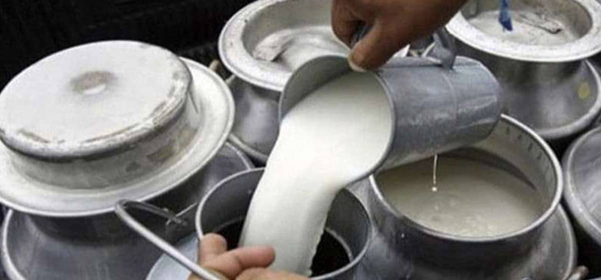 Nepal Dairy Farmers Face Low Milk Prices Despite Rising Retail Costs
