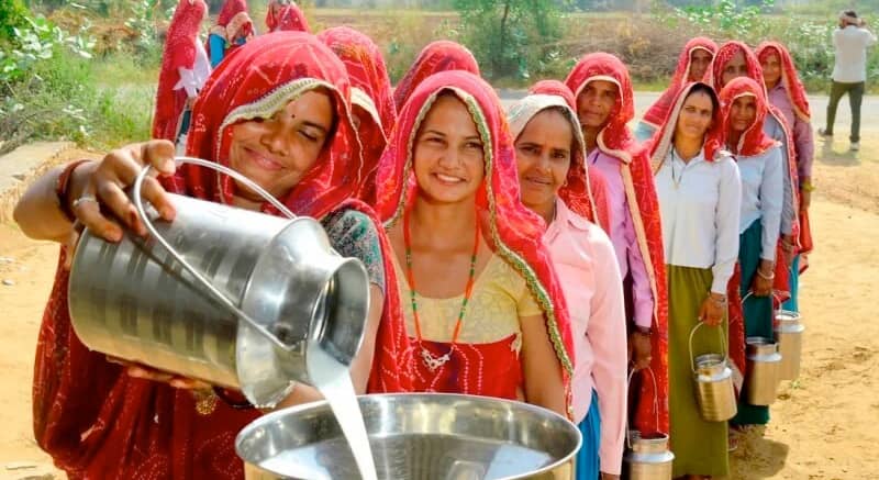 NDDB-Backed Dairy Cooperative Network to Connect 20,000 Village Societies Across 9 States