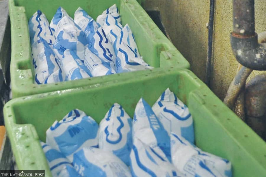 Nepal's DDC to Introduce Fortnightly Milk Payments from January 2027 to Support Dairy Farmers