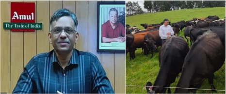 There is so much to learn from Jayen Mehta MD Amul (GCMMF)