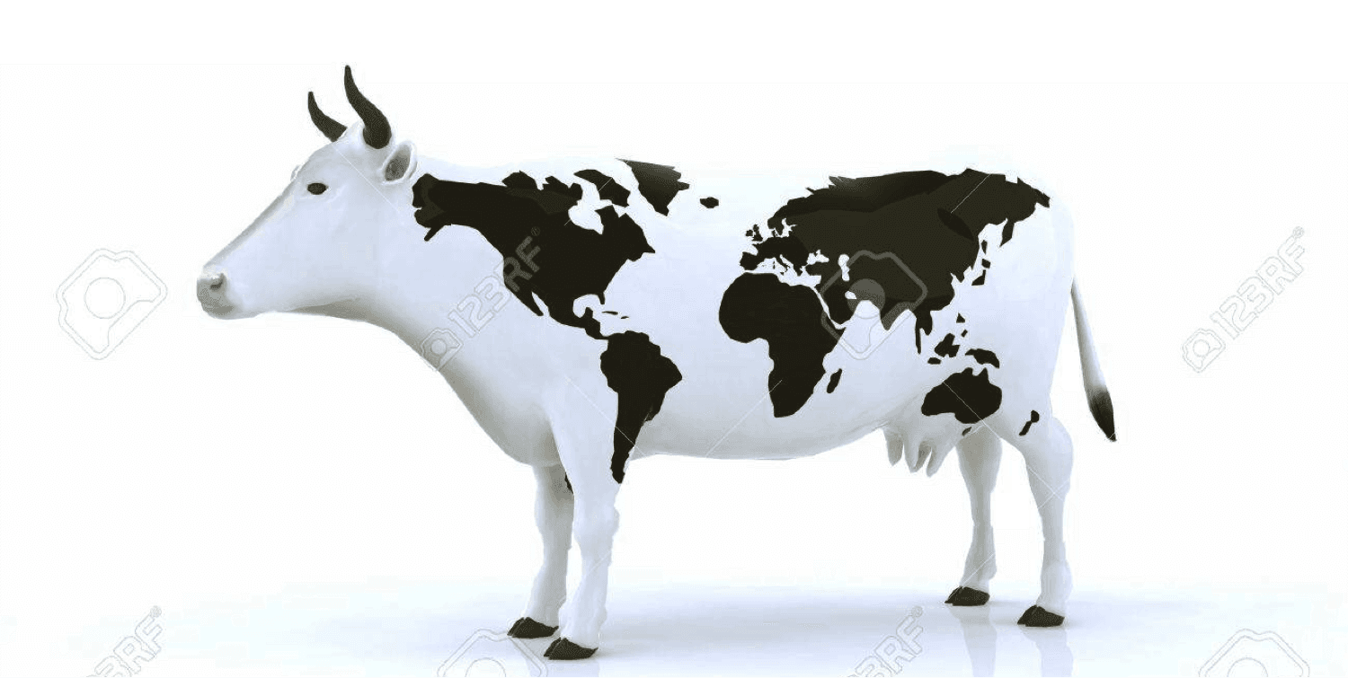 DAIRY NEWSWORLD DAIRY NEWS Global dairy demand will improve in 2021 and 2022