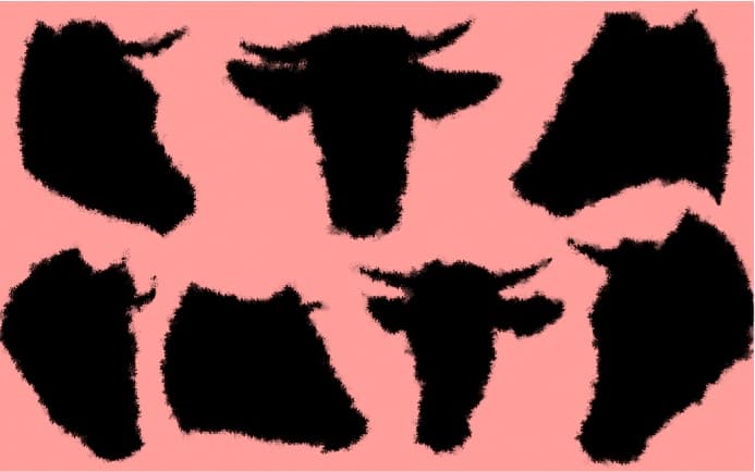 Economic Rationale of Slaughter and Beef Ban in Karnataka