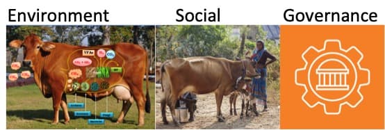 I serve ESG in the dairy sector . Choose any two .