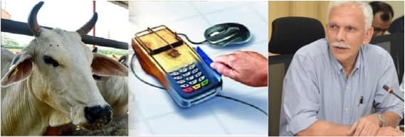 Govt to take steps to make available KCC to more dairy farmers: Secretary