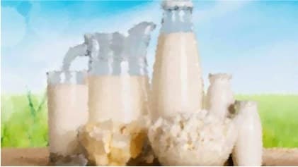 Dairy Products In India: Where Does India Stand?