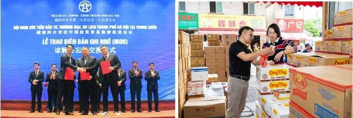 Vinamilk Expands into the China’s Thriving Dairy Market