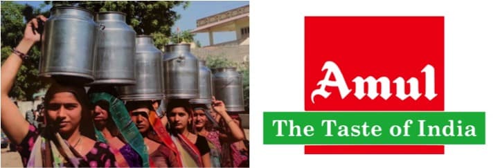 Amul is the largest FMCG brand in India