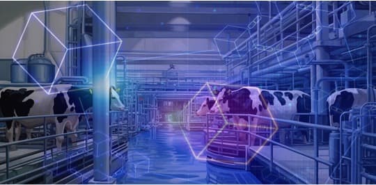 BLOCKCHAIN APPLICATIONS IN THE DAIRY INDUSTRY: BEACON OF HOPE FOR RESOLVING ISSUES