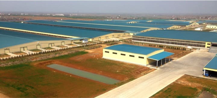 How far is China’s Slowdown is spreading ? Ask a dairy farmer