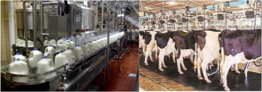Less is More : Dairy Budget 2021-22 Analysed – A blog by Kuldeep Sharma  Bydairynews7x7@gmail.com