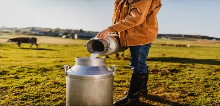 Agri-business: UK dairy industry set for export boost