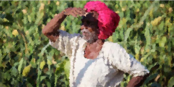 Dairy farmer’s survival comes in the way of India trade deal with US,EU